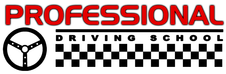 Professional Driving School